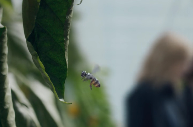 Drone bee from Black Mirror